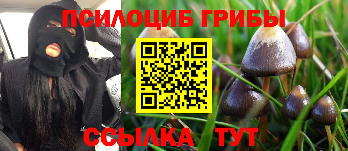 Галлюциногенные грибы Psilocybine cubensis Арзамас