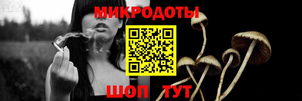 Арзамас  Псилоцибиновые грибы GOLDEN TEACHER  Вход с VPN 